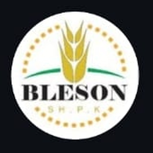 Bleson logo